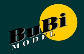 BuBiModel
